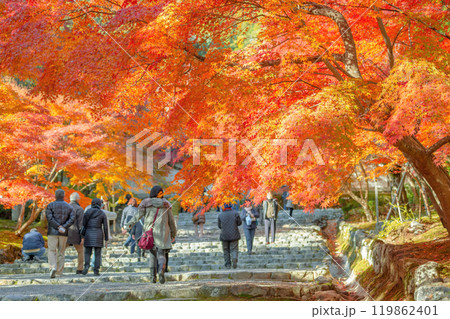 秋の二尊院 119862401