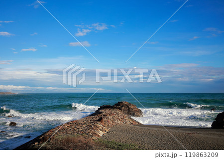 桂浜に打ち寄せる波 桂浜に打ち寄せる波 119863209
