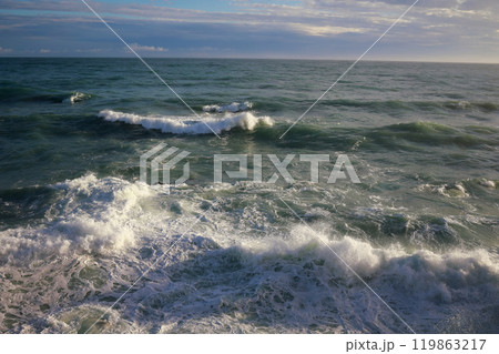 桂浜に打ち寄せる波 桂浜に打ち寄せる波 119863217