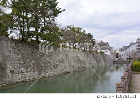 日本100名城・駿府城 119863311