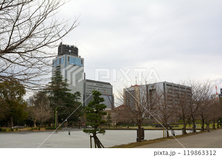 日本100名城・駿府城 119863312