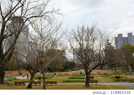 日本100名城・駿府城 119863316