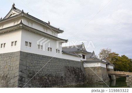 日本100名城・駿府城 日本100名城・駿府城 119863322