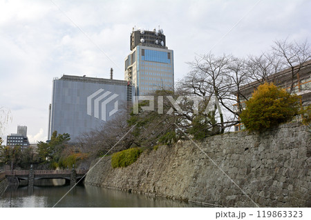 日本100名城・駿府城 119863323