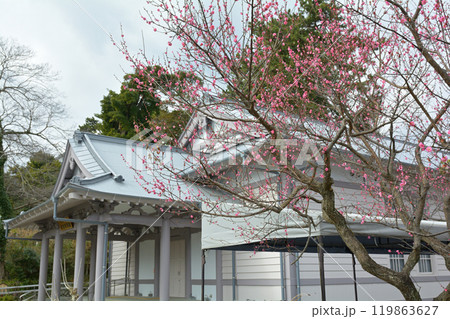 日本100名城・小田原城 日本100名城・小田原城 119863627