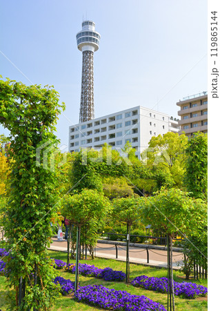 横浜・山下公園 横浜・山下公園 119865144
