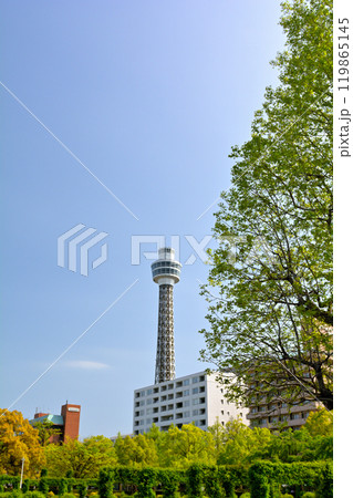 横浜・山下公園 119865145