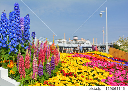 横浜・山下公園 119865146