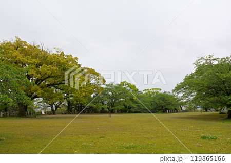 日本100名城・徳島城 119865166