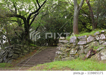 日本100名城・徳島城 日本100名城・徳島城 119865171