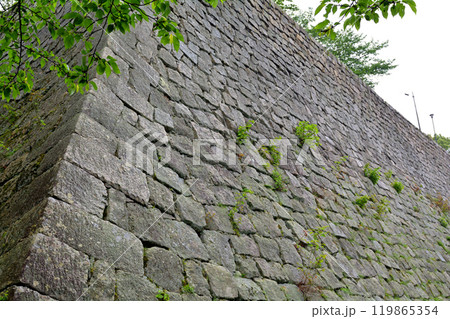 日本100名城・丸亀城 日本100名城・丸亀城 119865354