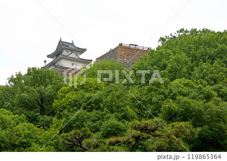 日本100名城・丸亀城 日本100名城・丸亀城 119865364