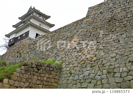 日本100名城・丸亀城 119865373