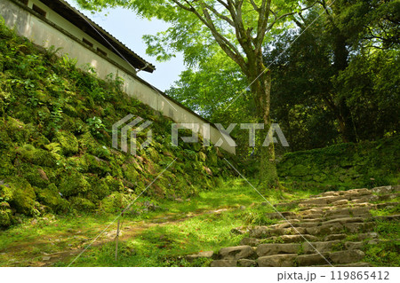 日本100名城・宇和島城 日本100名城・宇和島城 119865412