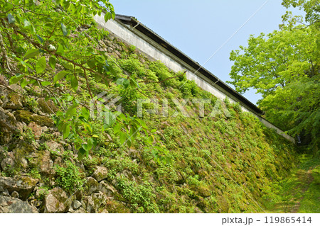 日本100名城・宇和島城 119865414