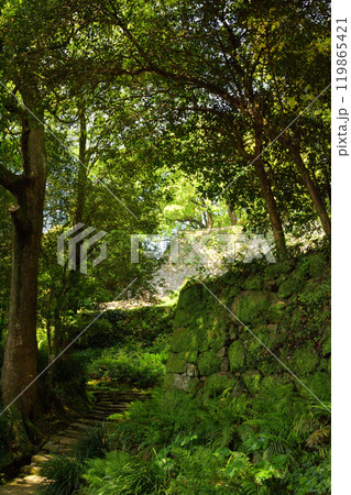 日本100名城・宇和島城 119865421