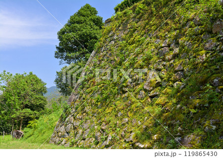 日本100名城・宇和島城 119865430