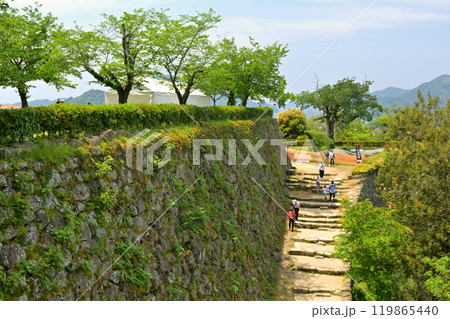 日本100名城・宇和島城 119865440