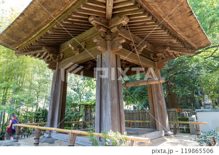 鎌倉の報国寺 鎌倉の報国寺 119865506