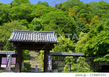 日本100名城・宇和島城 119865555