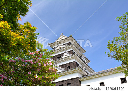 日本100名城・大洲城 119865592