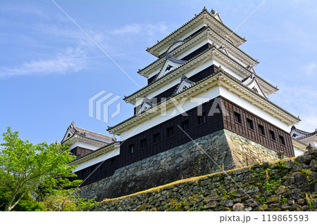 日本100名城・大洲城 119865593