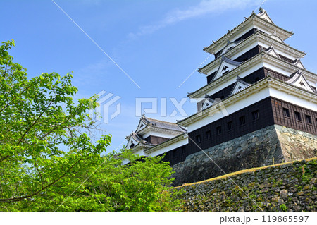 日本100名城・大洲城 119865597