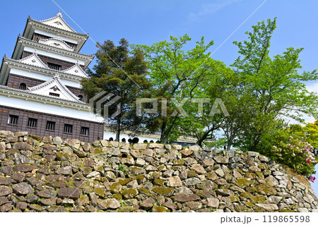 日本100名城・大洲城 119865598