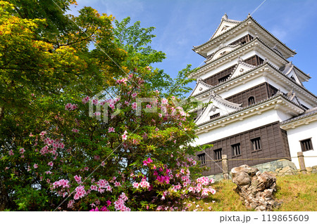 日本100名城・大洲城 日本100名城・大洲城 119865609