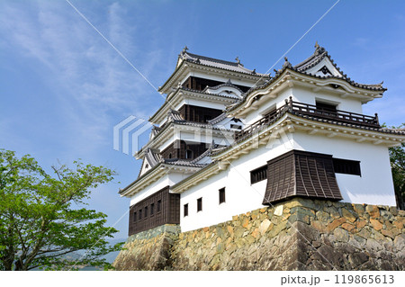 日本100名城・大洲城 119865613