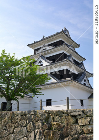 日本100名城・大洲城 日本100名城・大洲城 119865615
