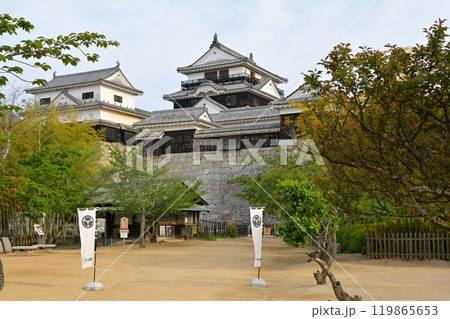 日本100名城・松山城 日本100名城・松山城 119865653