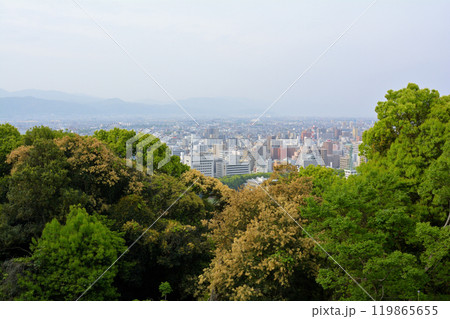 日本100名城・松山城 日本100名城・松山城 119865655