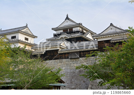 日本100名城・松山城 119865660