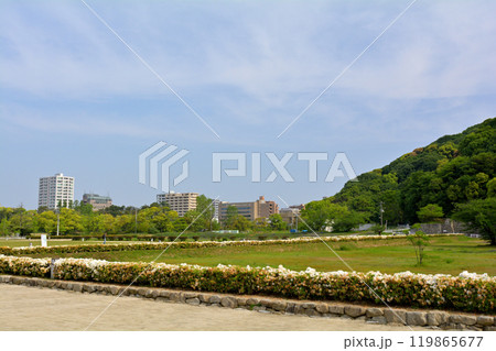 日本100名城・松山城 日本100名城・松山城 119865677
