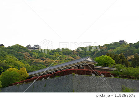 日本100名城・松山城 119865678