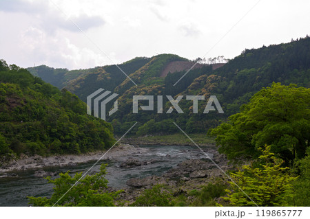 高知・四万十川 119865777