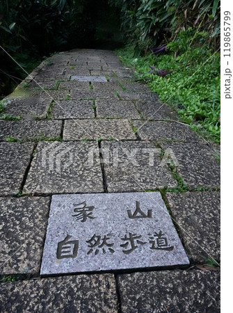 象山自然歩道(台湾・台北市信義区) 象山自然歩道(台湾・台北市信義区) 119865799