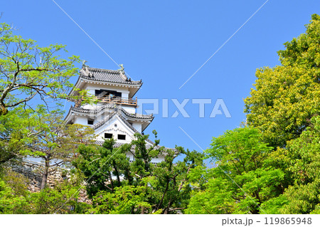 日本100名城・高知城 119865948