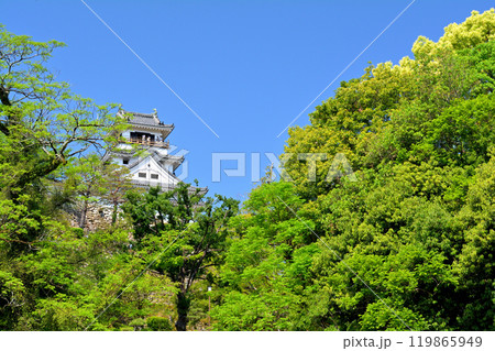 日本100名城・高知城 119865949