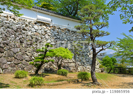 日本100名城・高知城 119865956