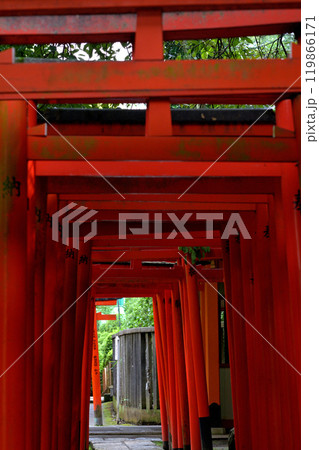 東京・根津神社 東京・根津神社 119866171