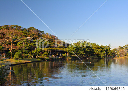 横浜・三渓園 119866243