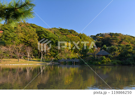 横浜・三渓園 119866250