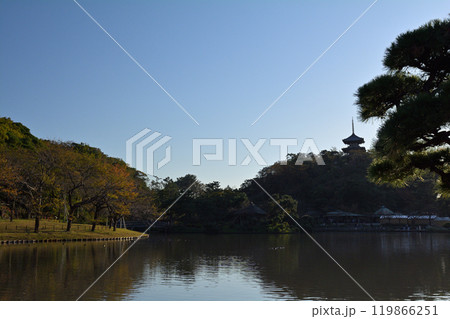 横浜・三渓園 横浜・三渓園 119866251