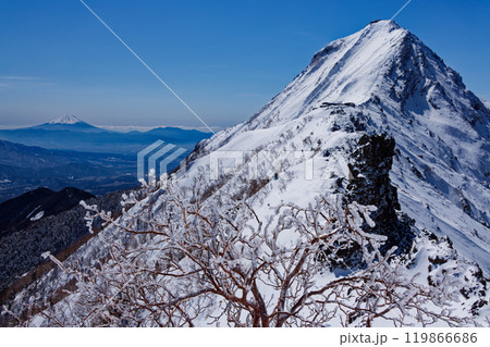 樹氷と八ヶ岳連峰・赤岳、富士山の眺め 119866686