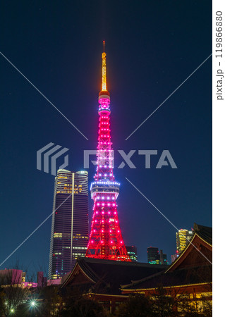 「東京都」ライトアップした東京タワー　夜景 119866880