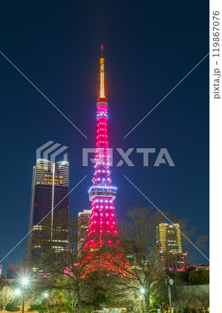 「東京都」ライトアップした東京タワー　夜景 119867076