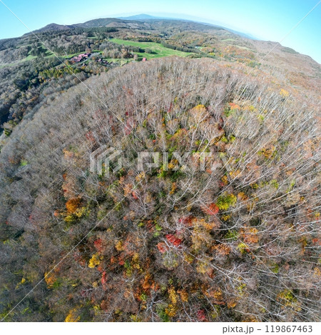 空撮「岩手県」平庭高原の白樺林と紅葉 119867463