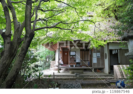 滋賀県　大津　幻住庵と青紅葉（初秋） 119867546